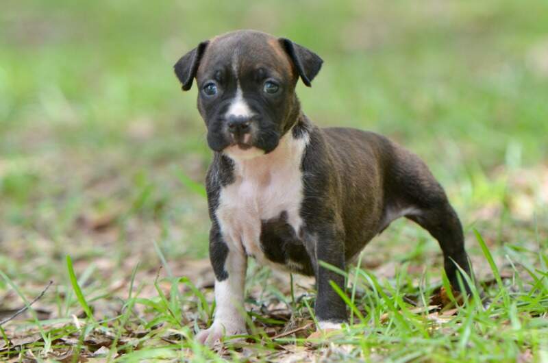 4 weeks