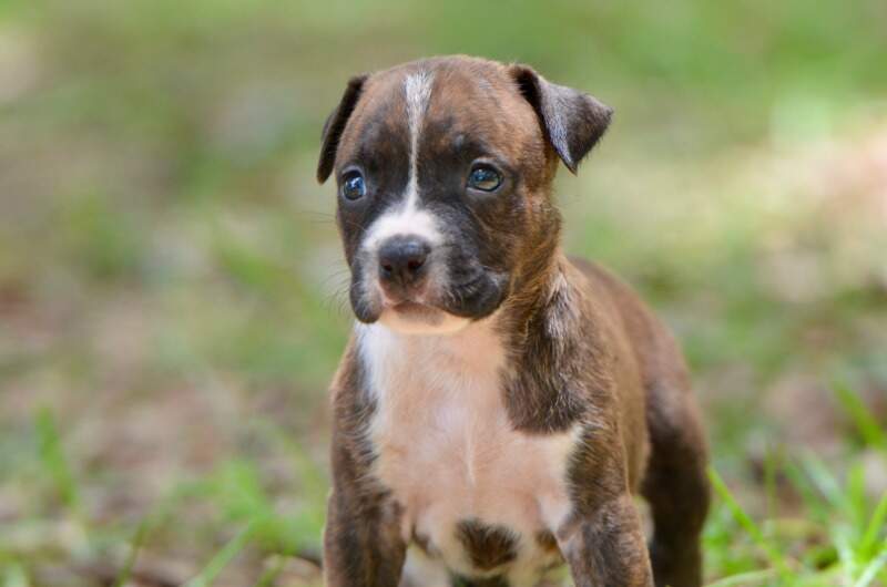 4 weeks