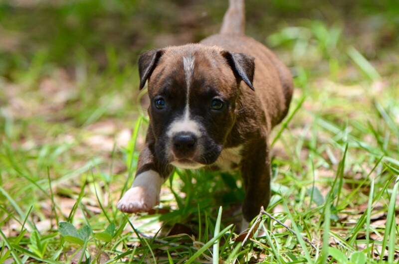 4 weeks