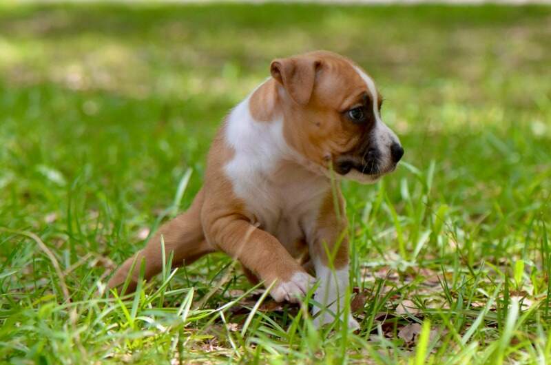 5 weeks