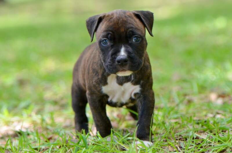 5 weeks