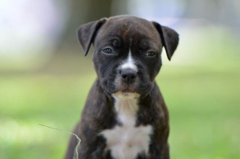 5 weeks