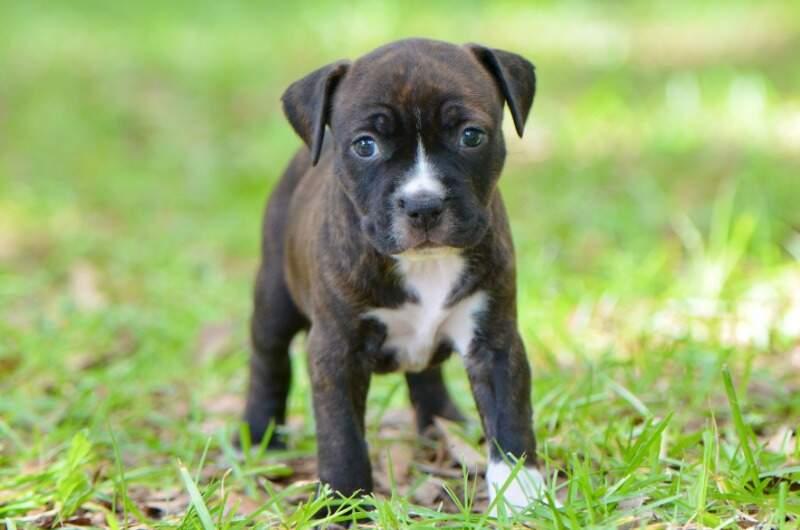 5 weeks