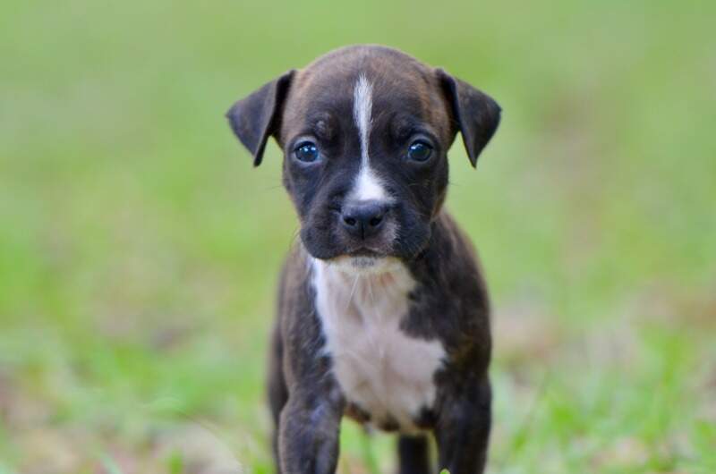 5 weeks