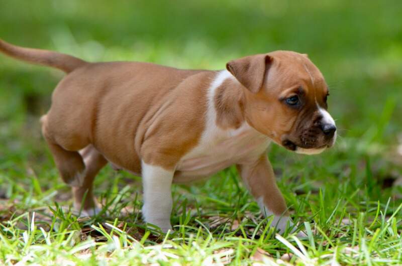 5 weeks
