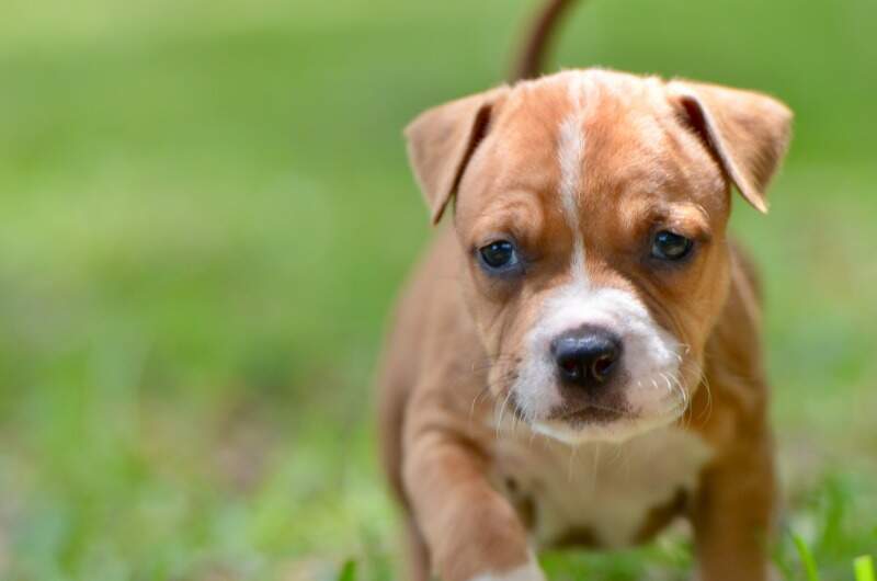 5 weeks