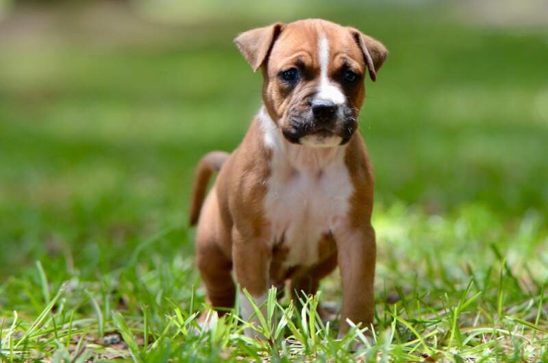 5 weeks