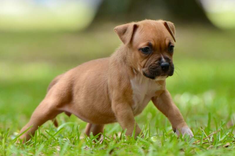 5 weeks