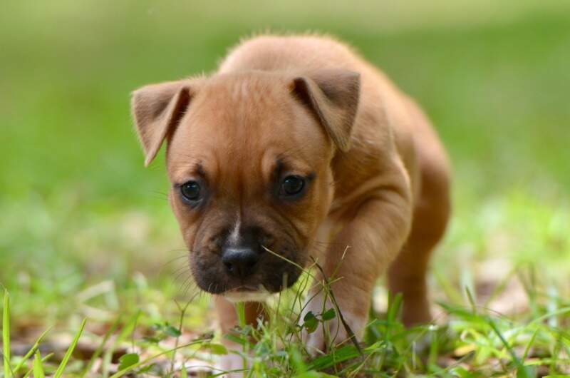 5 weeks