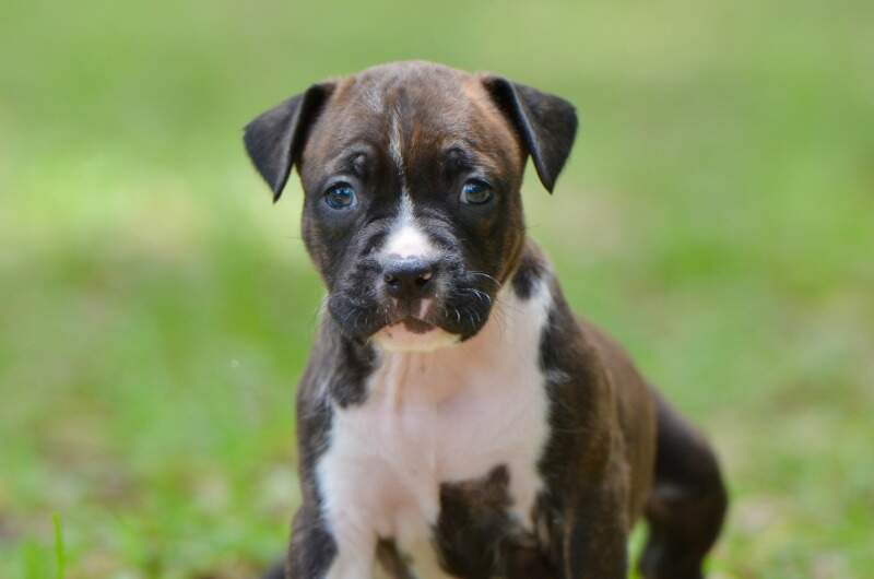 5 weeks