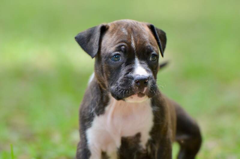 5 weeks