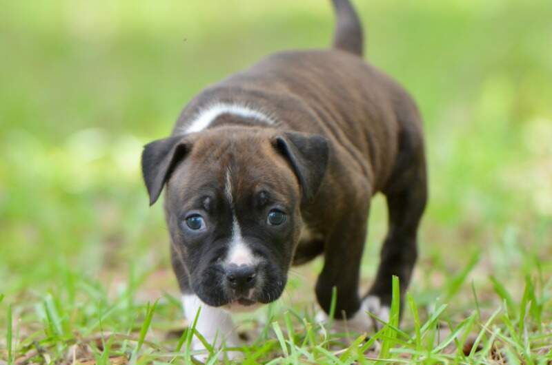 5 weeks
