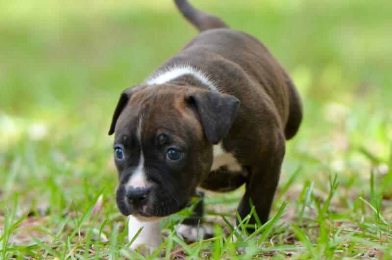 5 weeks