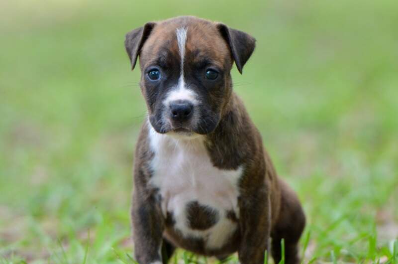 5 weeks