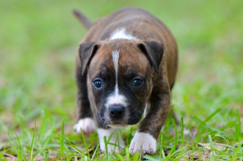 5 weeks