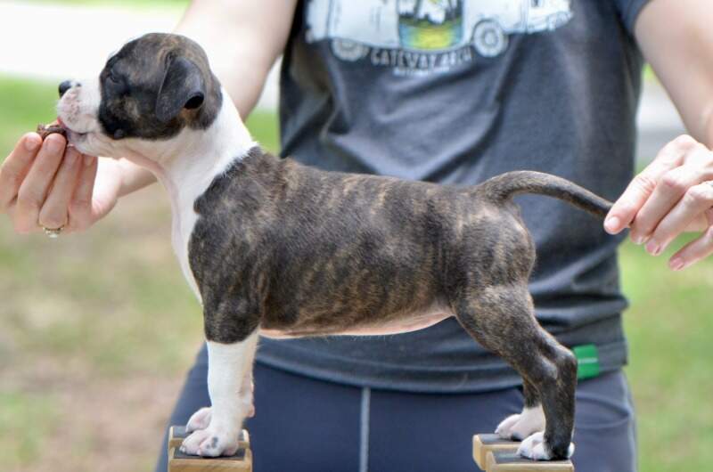 6 weeks