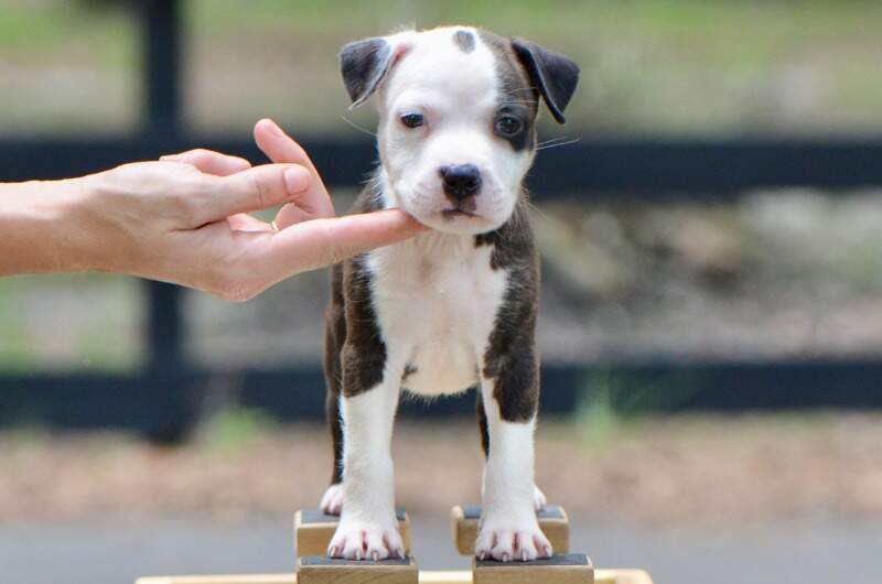 6 weeks