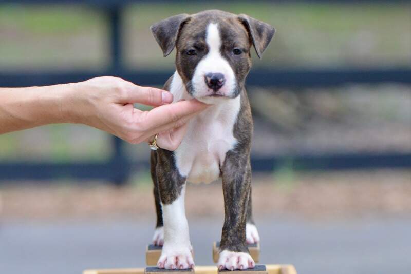 6 weeks