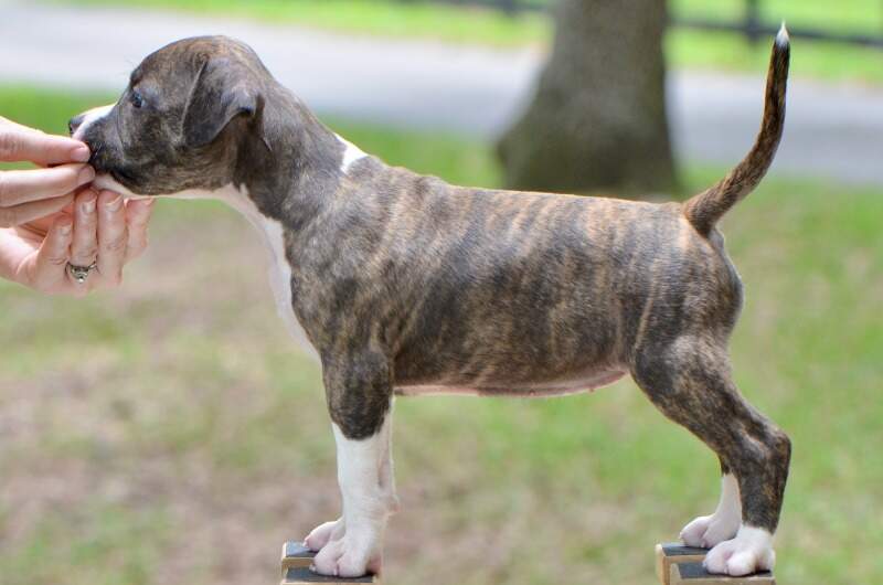 6 weeks