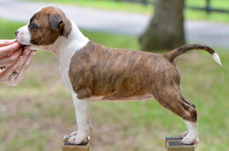 6 weeks