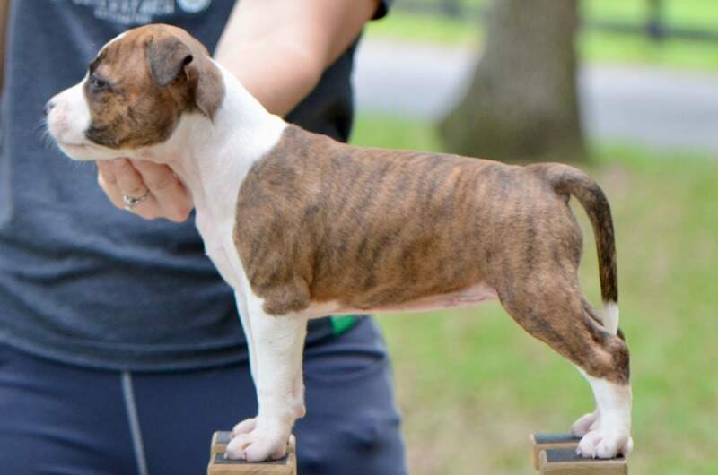 6 weeks