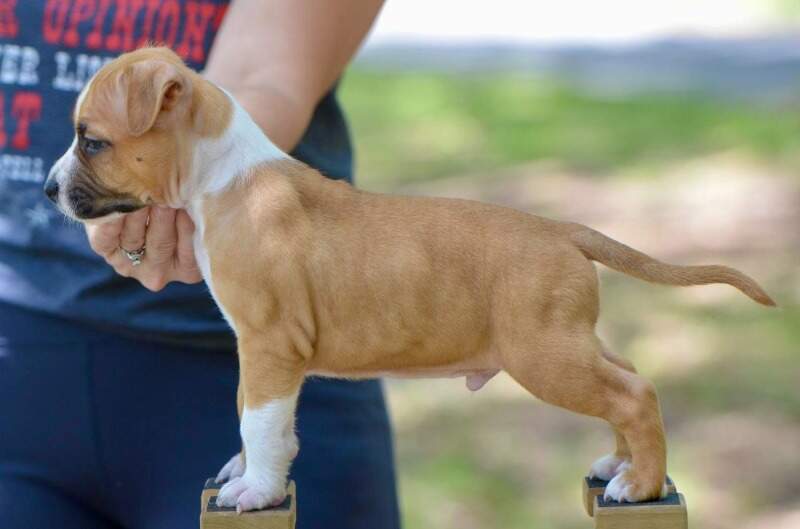 6 weeks