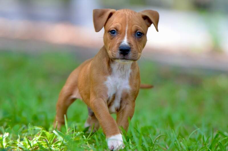 6 weeks