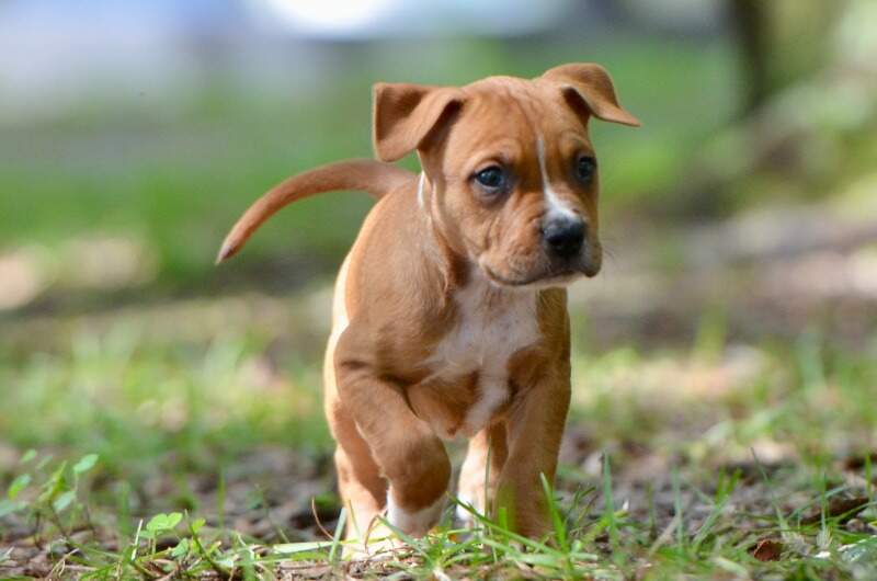 6 weeks