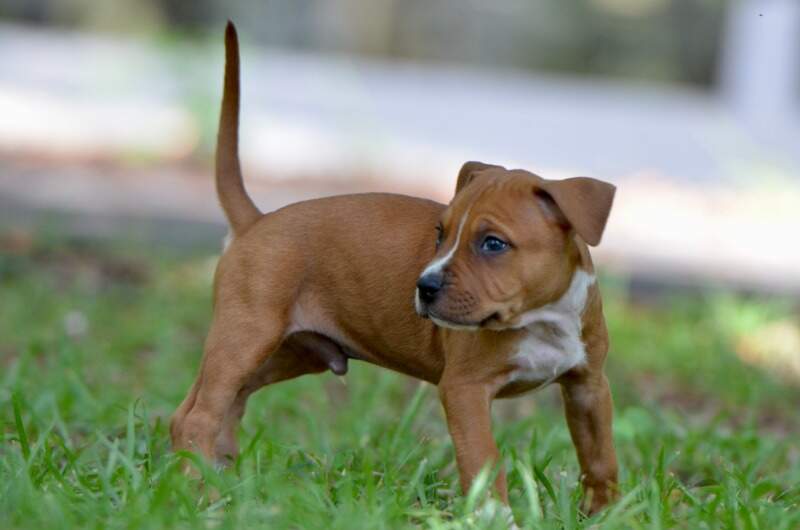 6 weeks
