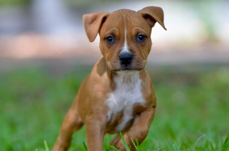 6 weeks