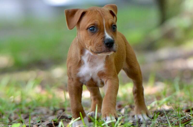 6 weeks