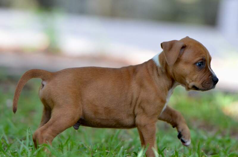 6 weeks