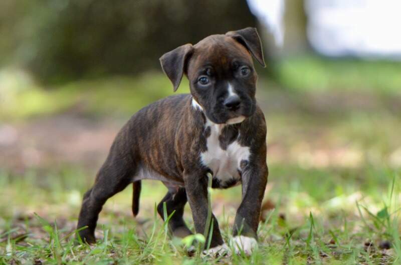 6 weeks