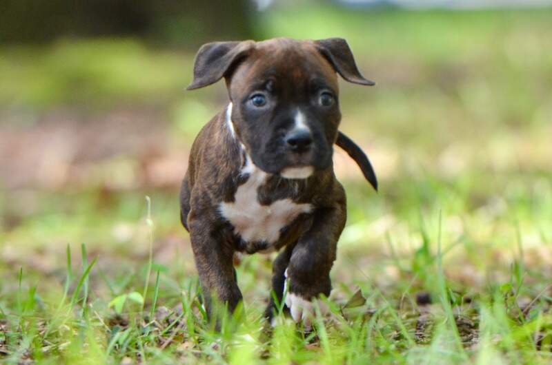 6 weeks