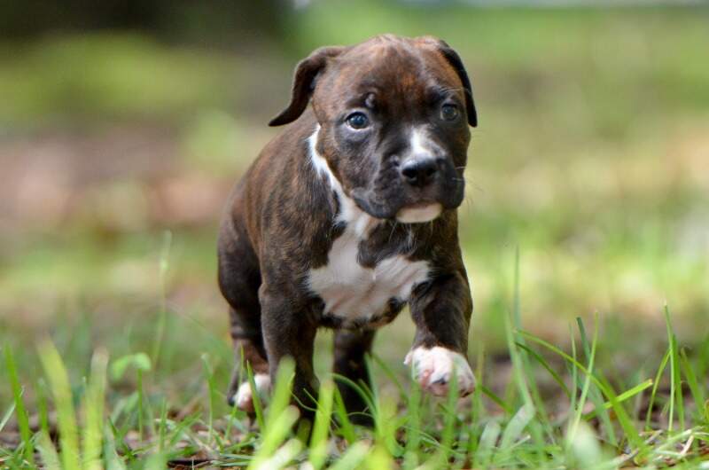 6 weeks