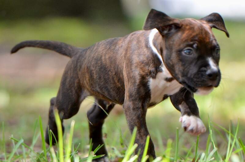 6 weeks