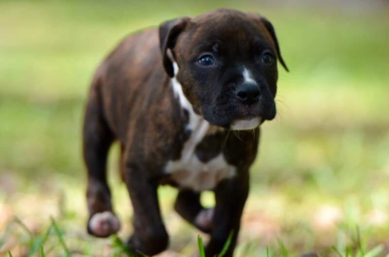 6 weeks