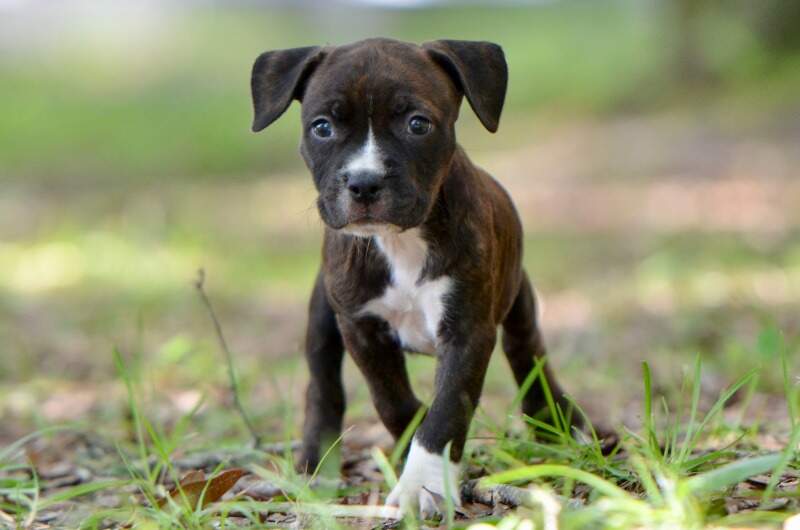 6 weeks