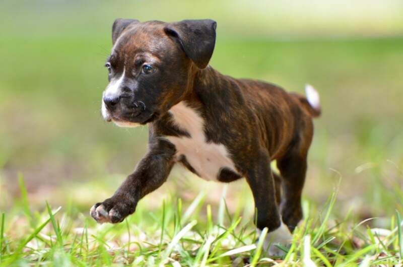 6 weeks