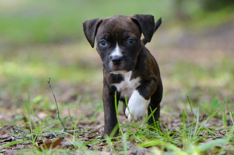 6 weeks