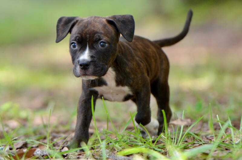 6 weeks