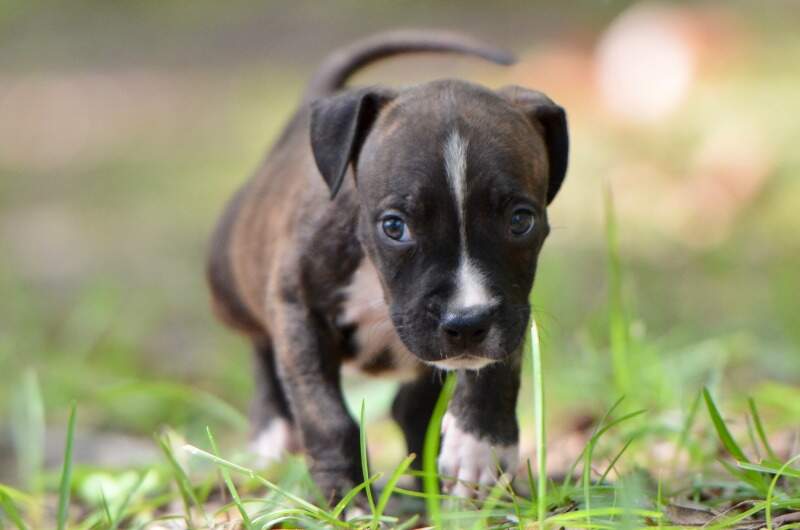 6 weeks