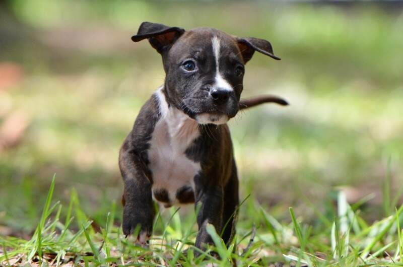 6 weeks