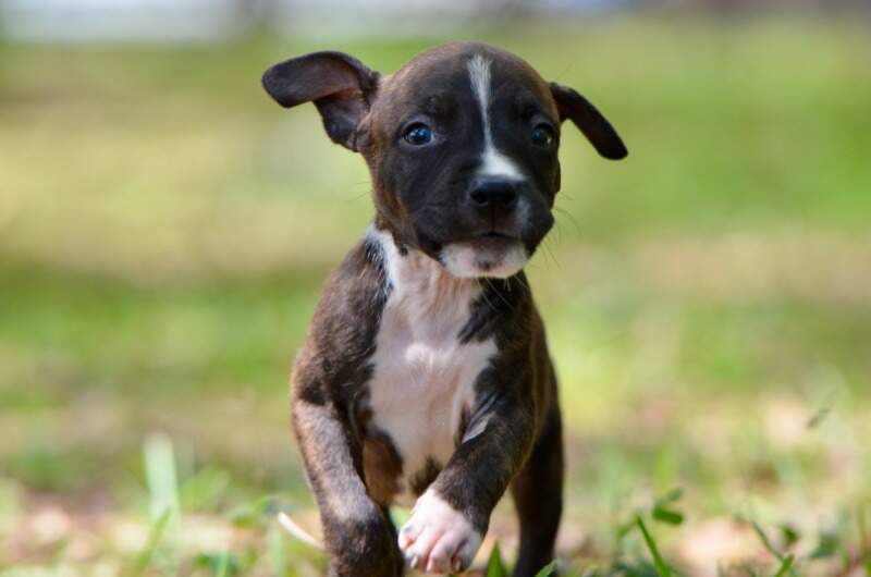 6 weeks
