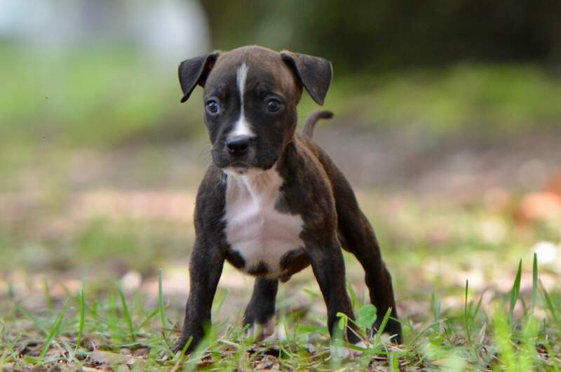 6 weeks