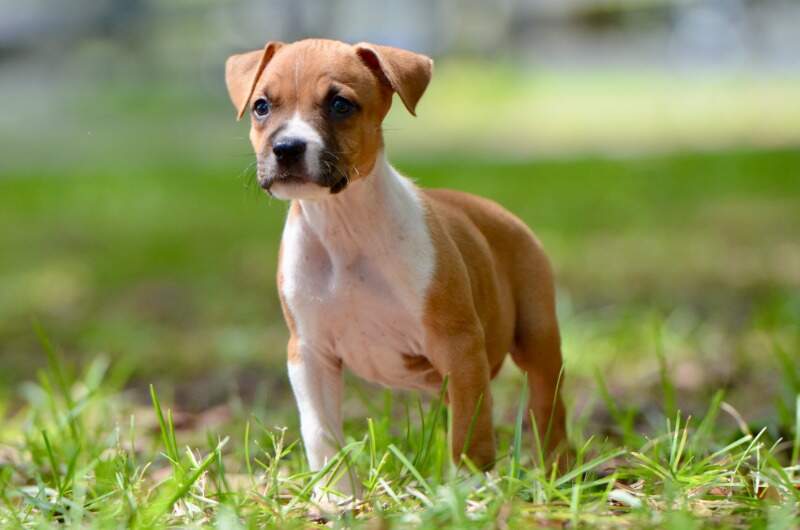 6 weeks