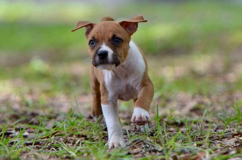 6 weeks