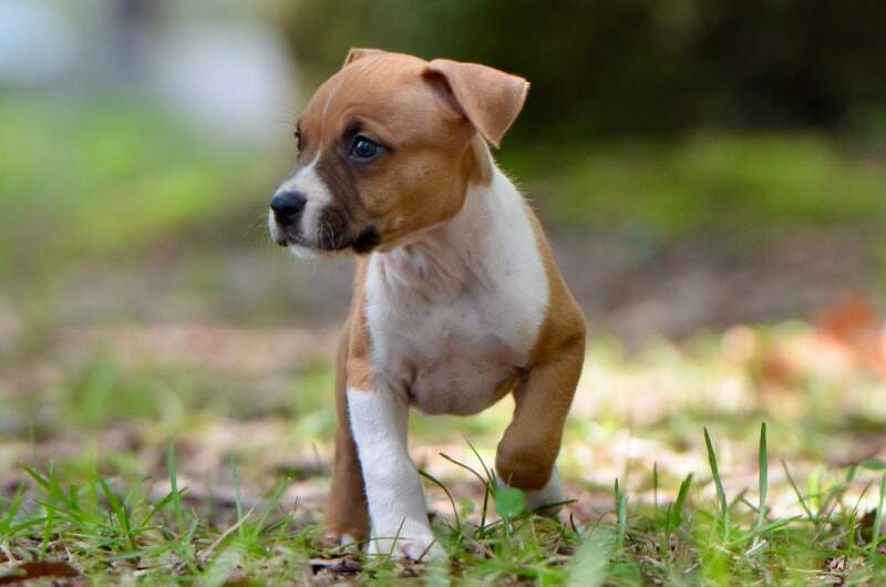 6 weeks