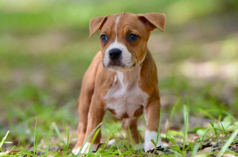 6 weeks