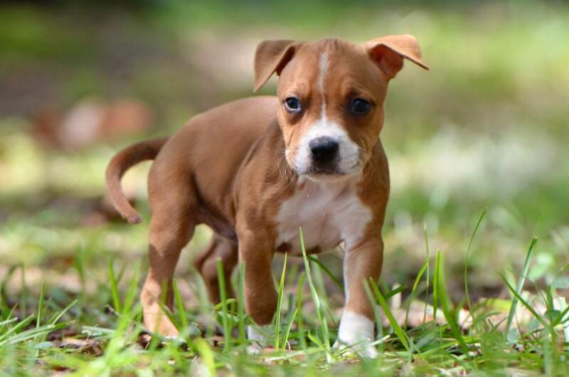 6 weeks